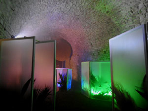 Temps de Flors 2024. Catedral - Soterranis