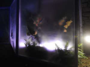 Temps de Flors 2024. Catedral - Soterranis