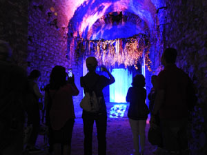 Temps de Flors 2024. Torre Gironella