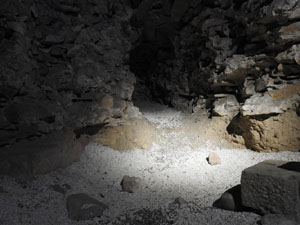 Temps de Flors 2024. Torre Gironella