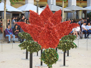 Temps de Flors 2024. Plaça de la Independència