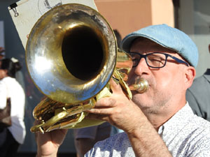 Temps de Flors 2024. Audici&oacute; de sardanes