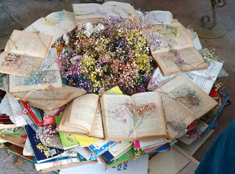 Temps de Flors 2024. Plaça Jacint Verdaguer