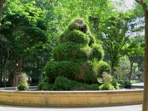 El Brollador de la Devesa. 2014