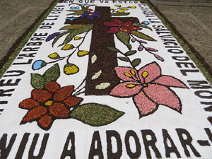 La Diada de Corpus 2025. Les catifes