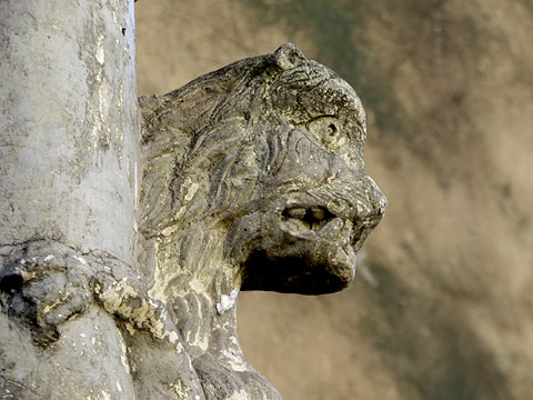 Imatge del cap de la Lleona