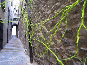 Carrer de Manuel Cúndaro
