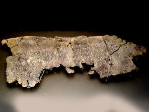 Exposici&oacute; El Temps de la Mem&ograve;ria al MAC - Girona