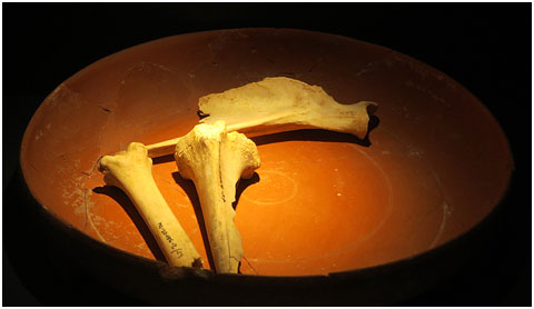 Plat. Cer&agrave;mica africana de cuina. &Egrave;poca romana, segles II-III dC. Tolegassos, Viladamat