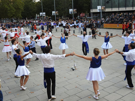 Fires de Sant Narcís 2024. Concurs de colles sardanistes