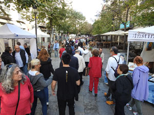 Fires de Sant Narcís 2024. Fira-mercat d'alimentació, artesania, dibuix i pintura