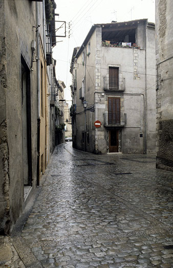 La pujada del rei Martí. 1990