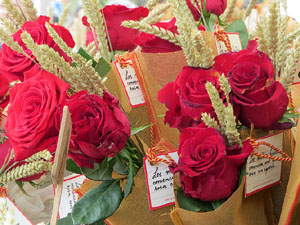 Diada de Sant Jordi 2025 a Girona