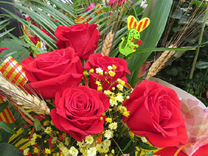 Diada de Sant Jordi 2025 a Girona