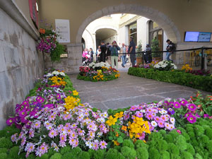 Temps de Flors 2025. Ajuntament de Girona. Entrada