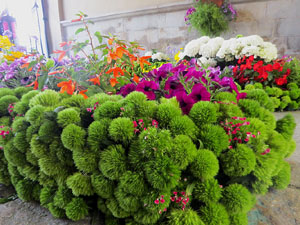 Temps de Flors 2025. Ajuntament de Girona. Entrada