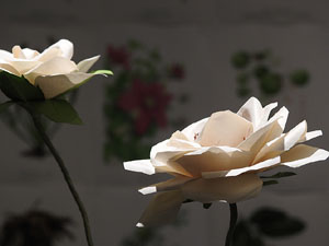 Temps de Flors 2025. Pia Almoina - Col&middot;legi d'Arquitectes de Catalunya