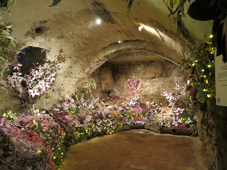 Temps de Flors 2025. Casa Lle&oacute; Avinay