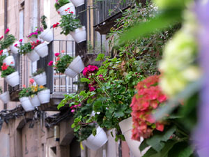 Temps de Flors 2025. Carrer Ballesteries