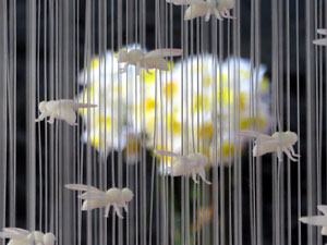 Temps de Flors 2025. Els Pati de Casa Carles