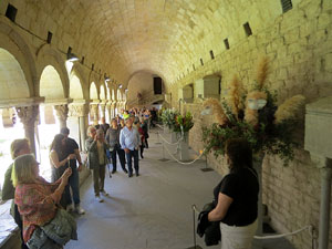 Temps de Flors 2025. Els Claustre de la Catedral