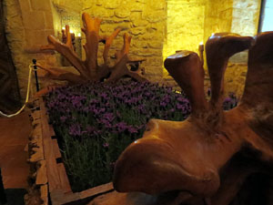 Temps de Flors 2025. Casa C&uacute;ndaro