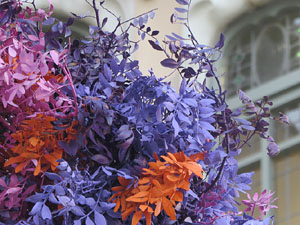 Temps de Flors 2025. Farinera Teixidor