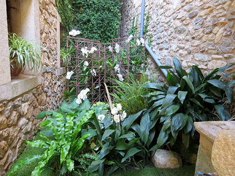 Temps de Flors 2025. Carrer Ferran el cat&ograve;lic (pati)