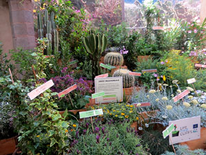 Temps de Flors 2025. Casa Forn - Diputaci&oacute; de Girona