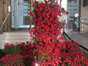 Temps de Flors 2025. Edifici F&ograve;rum