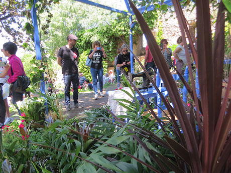 Temps de Flors 2025. Jardins de la Francesa