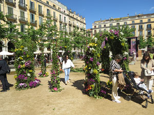 Temps de Flors 2025. Plaça de la Independè:ncia