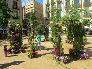 Temps de Flors 2025. Plaça de la Independè:ncia