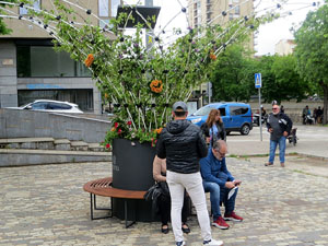 Temps de Flors 2025. El Jard&iacute; de la Inf&agrave;ncia
