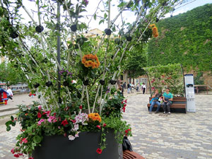 Temps de Flors 2025. El Jard&iacute; de la Inf&agrave;ncia