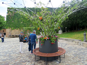 Temps de Flors 2025. El Jard&iacute; de la Inf&agrave;ncia