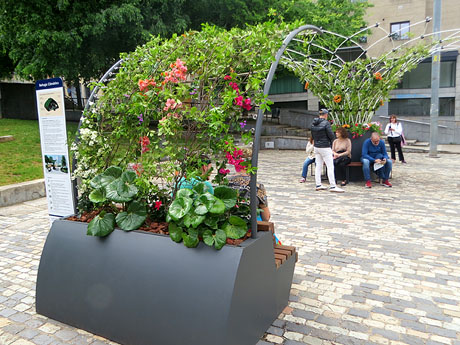 Temps de Flors 2025. El Jard&iacute; de la Inf&agrave;ncia