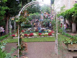 Temps de Flors 2025. Jardí del Casino Gironí