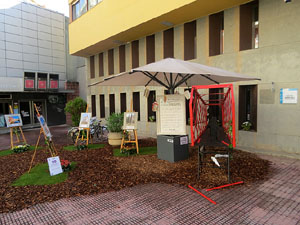 Temps de Flors 2025. Pla&ccedil;a Jordi de Sant Jordi