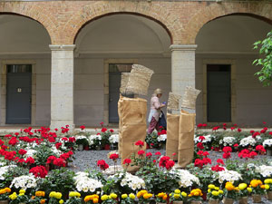 Temps de Flors 2025. Centre Cultural La Merc&egrave;