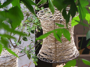 Temps de Flors 2025. Centre Cultural La Merc&egrave;