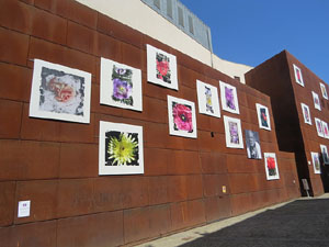 Temps de Flors 2025. Pla&ccedil;a del Pallol