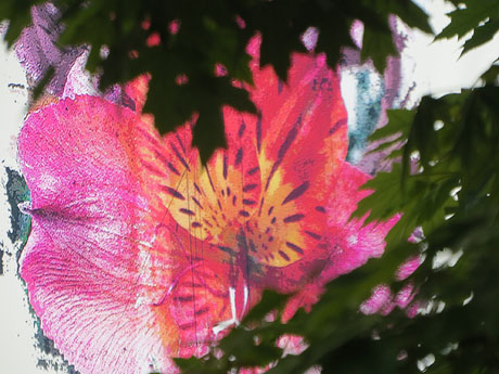 Temps de Flors 2025. Pla&ccedil;a del Pallol