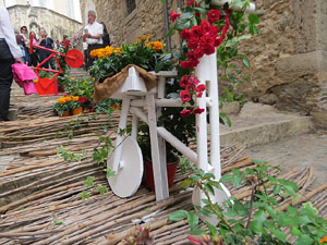 Temps de Flors 2025. Pujada de la Catedral - Escales de la Pera