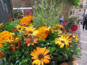 Temps de Flors 2025. Pujada de la Catedral - Escales de la Pera