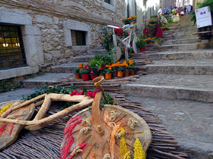 Temps de Flors 2025. Pujada de la Catedral - Escales de la Pera