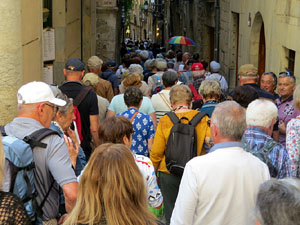 Temps de Flors 2025. Pujada de la Catedral - Escales de la Pera