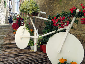 Temps de Flors 2025. Pujada de la Catedral - Escales de la Pera