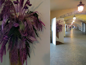 Temps de Flors 2025. Voltes de la Rambla de la Llibertat