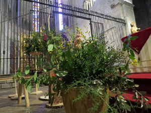 Temps de Flors 2025. Bas&iacute;lica de Sant Feliu (interior)